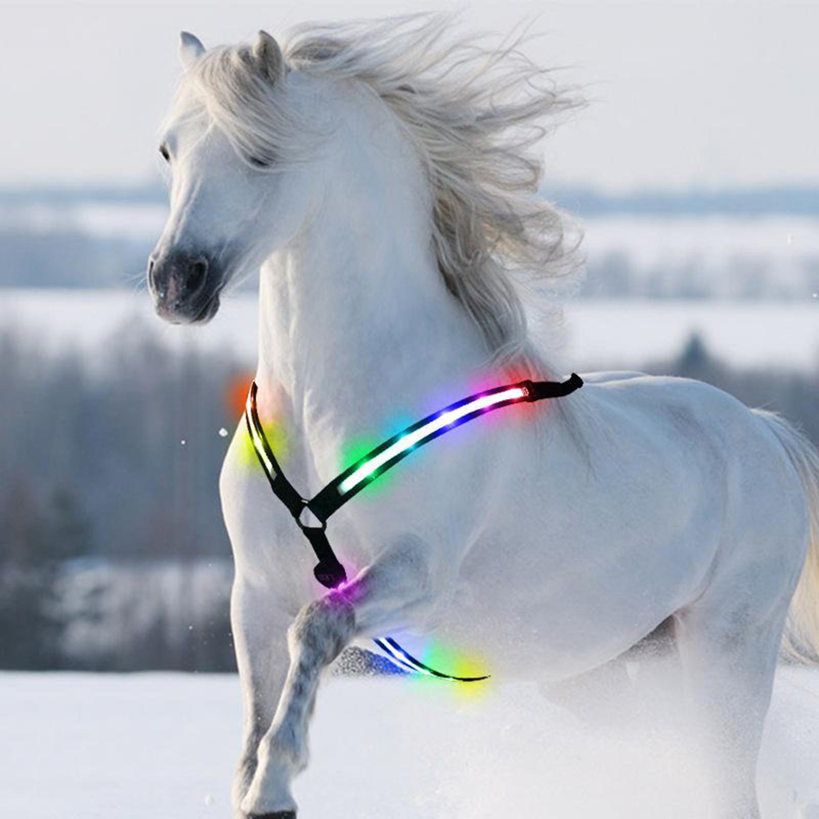 LED Chest Collar for Horses USB Rechargeable High Visibility for Riding